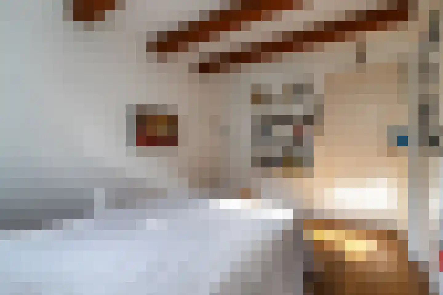 Krom Boomssloot 65 Amsterdam thumbnail 29