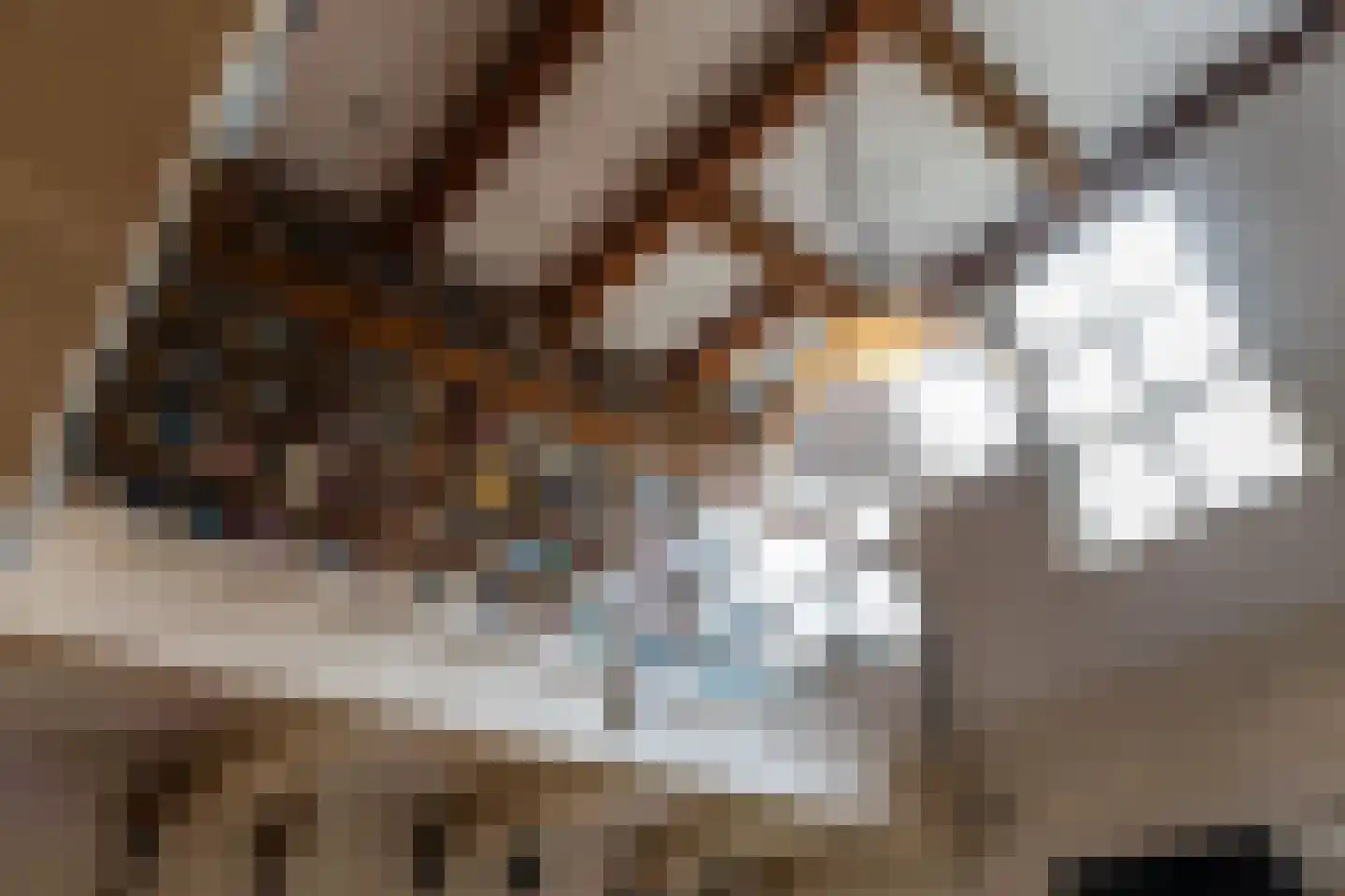 Krom Boomssloot 65 Amsterdam thumbnail 41
