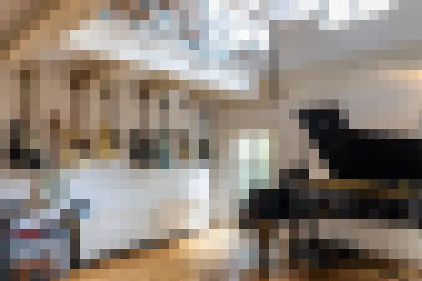 Krom Boomssloot 65 Amsterdam thumbnail 42