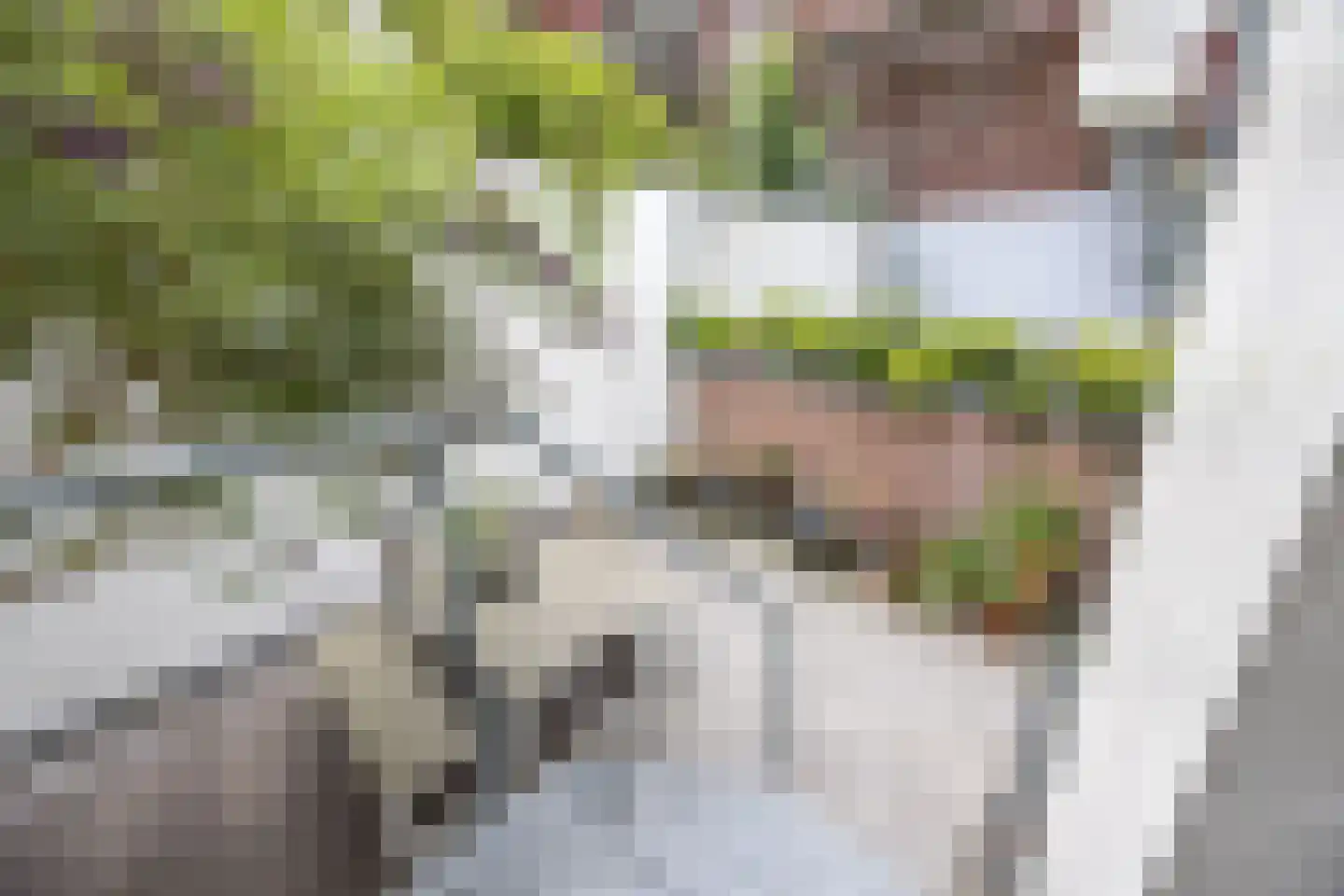 Krom Boomssloot 65 Amsterdam thumbnail 49
