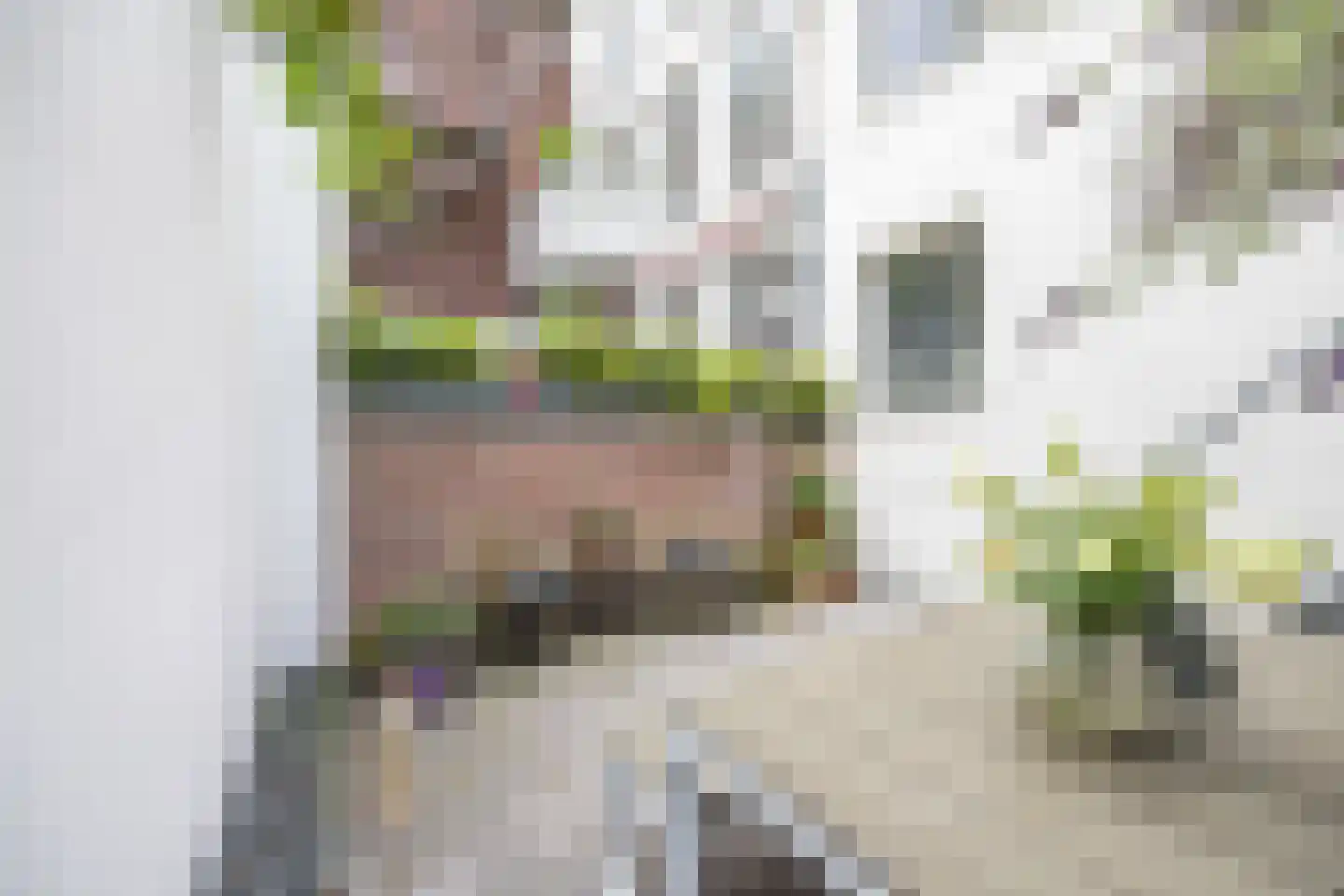 Krom Boomssloot 65 Amsterdam thumbnail 50