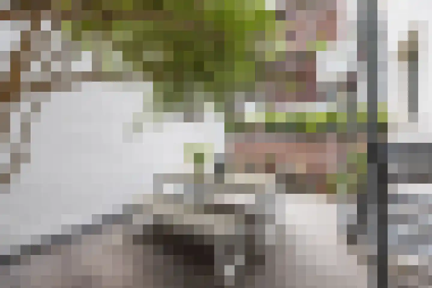 Krom Boomssloot 65 Amsterdam thumbnail 52