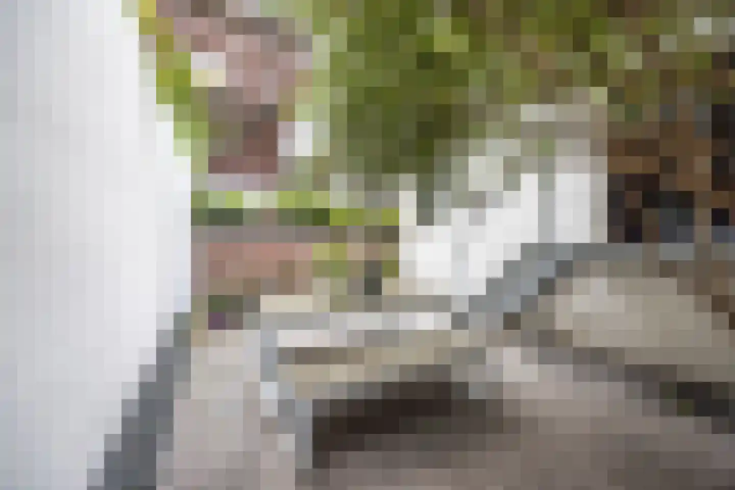Krom Boomssloot 65 Amsterdam thumbnail 53