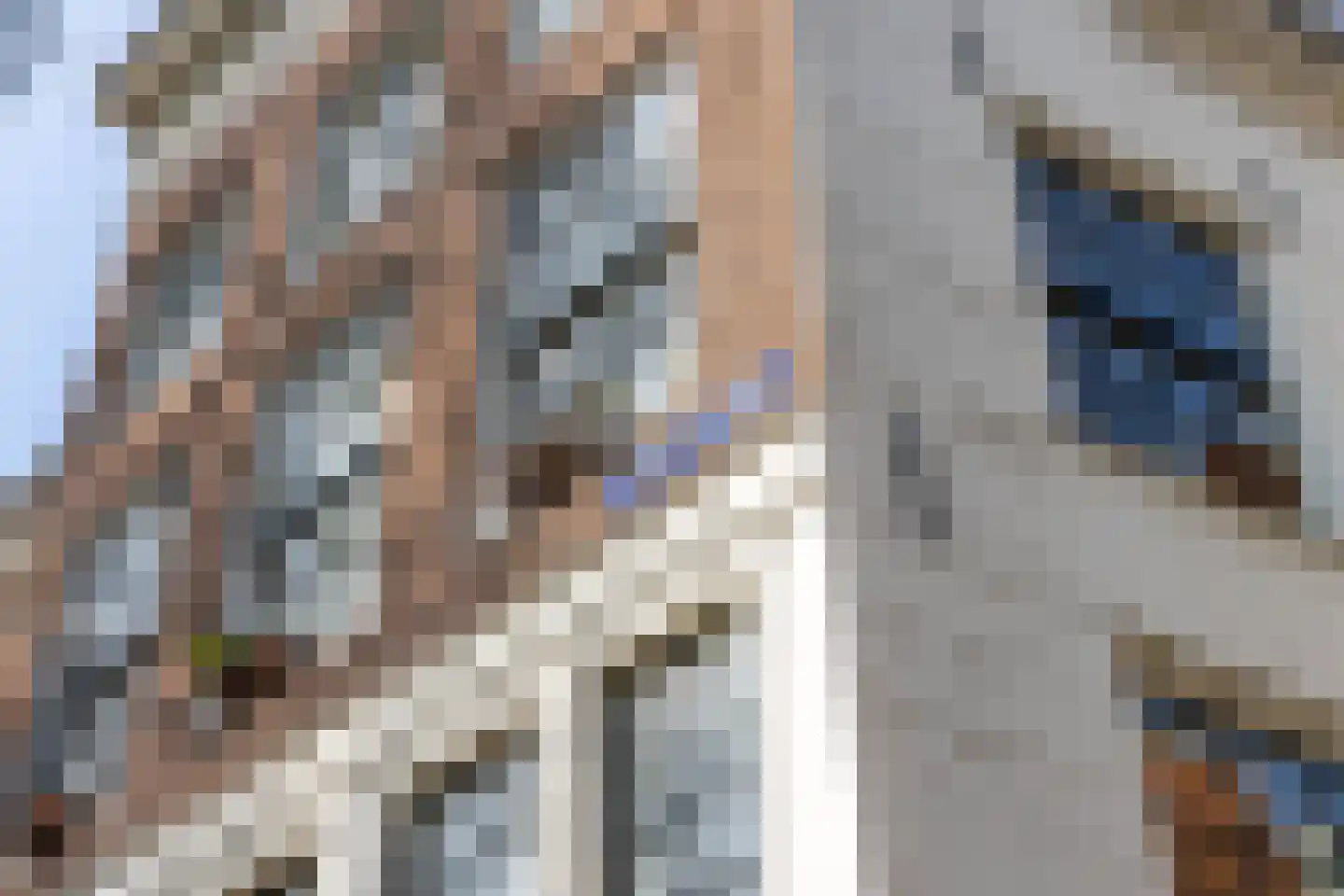Krom Boomssloot 65 Amsterdam thumbnail 55