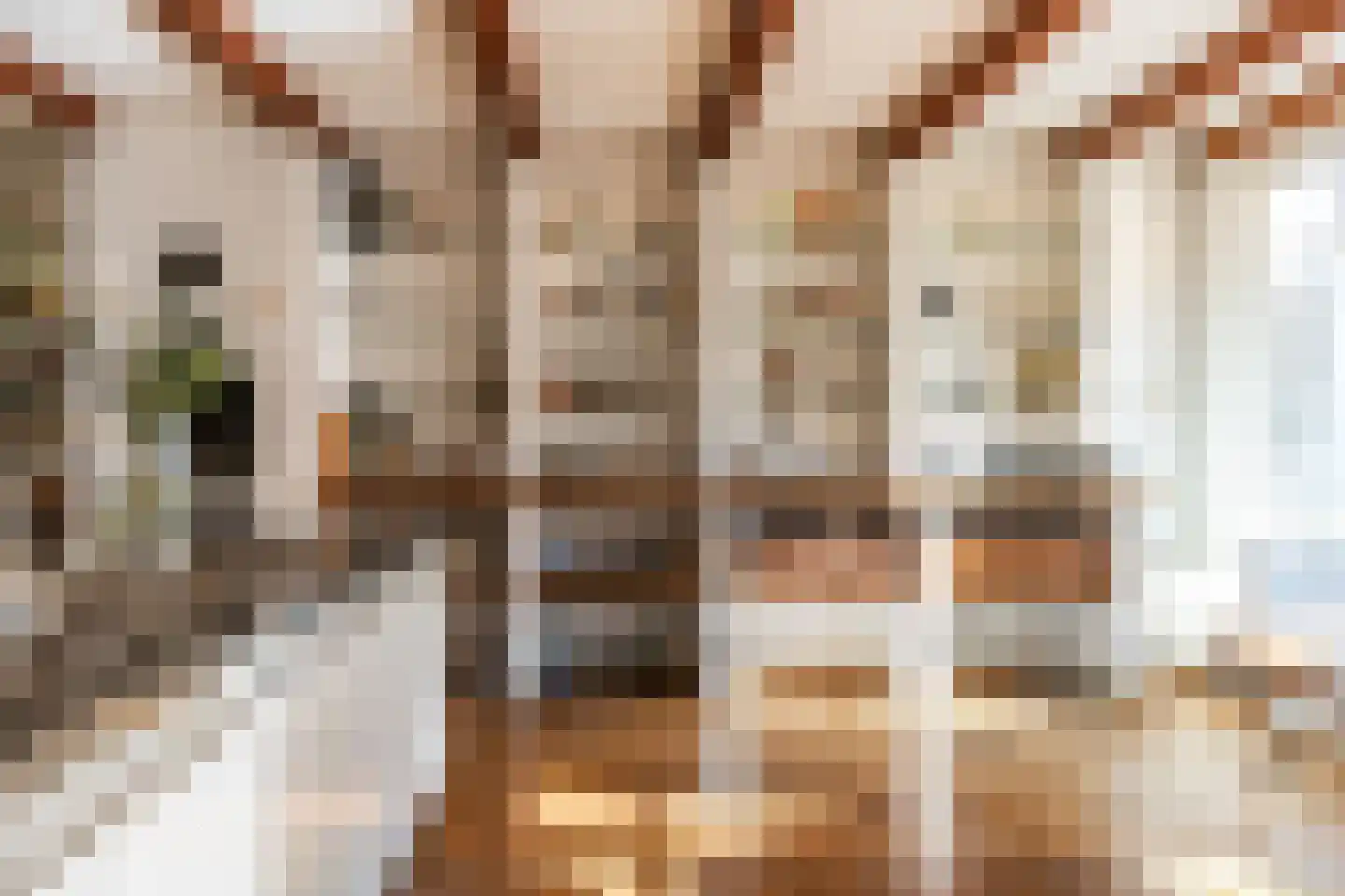 Krom Boomssloot 65 Amsterdam thumbnail 6