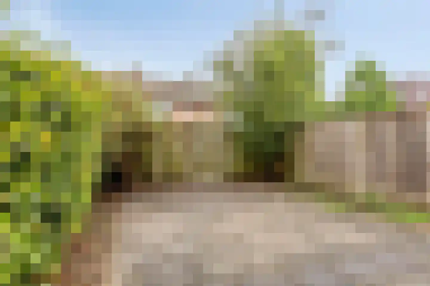 Kromakkerweg 15 Eindhoven thumbnail 12
