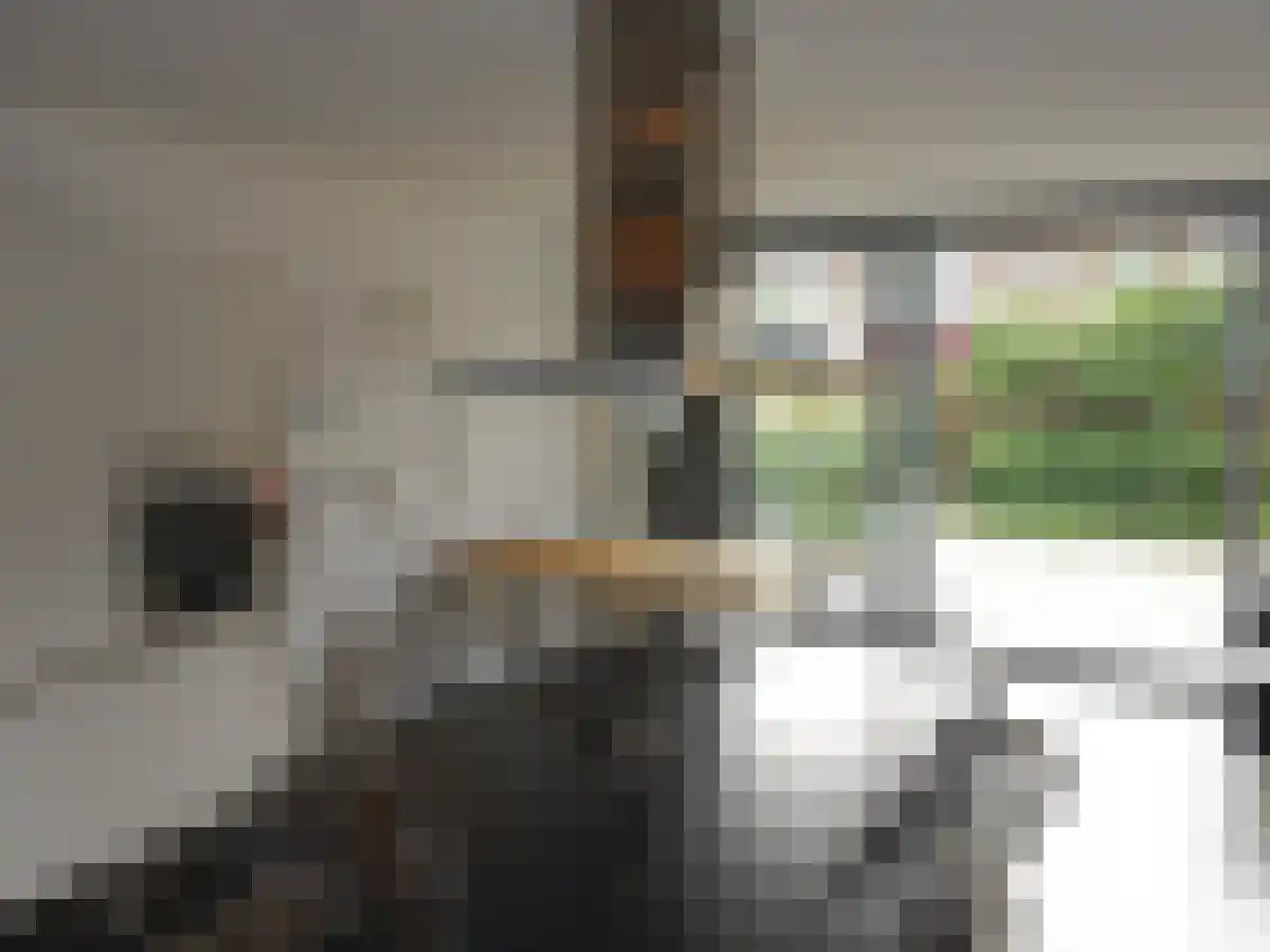 Kromakkerweg 5 Eindhoven thumbnail 6