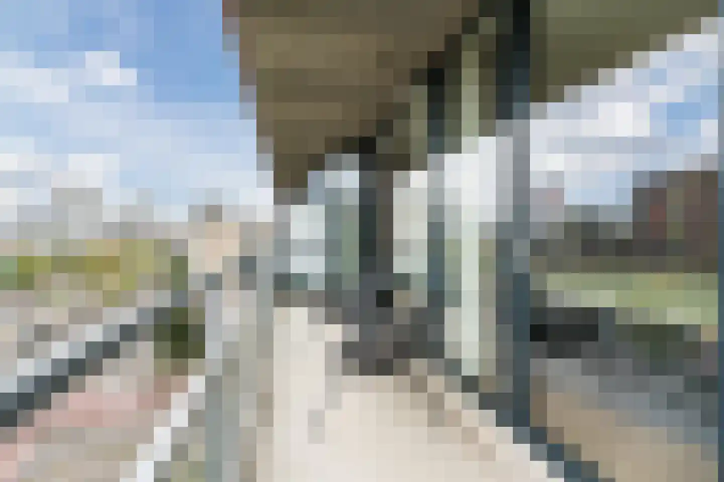 Kromakkerweg 52 Eindhoven thumbnail 20