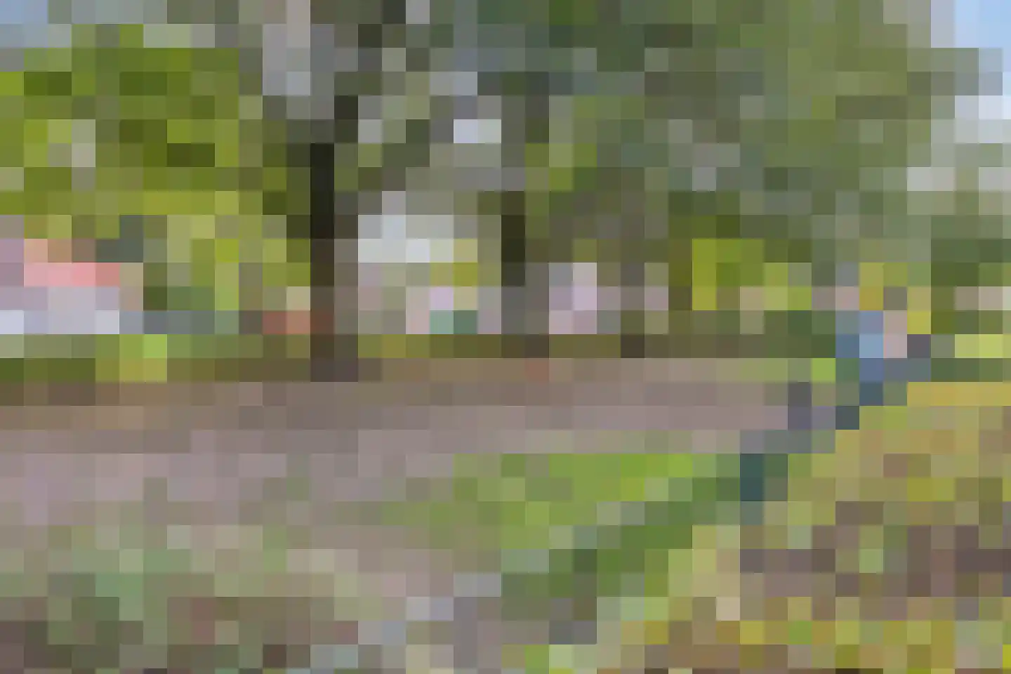 Kromakkerweg 63 Eindhoven thumbnail 53