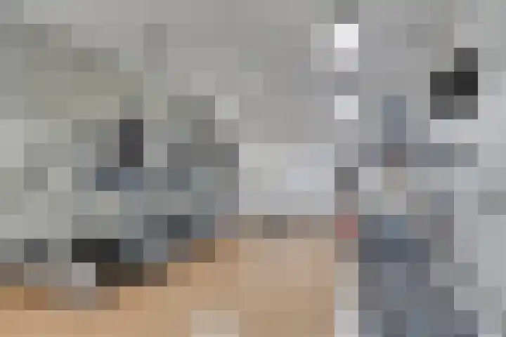 Kromakkerweg 91 Eindhoven thumbnail 18