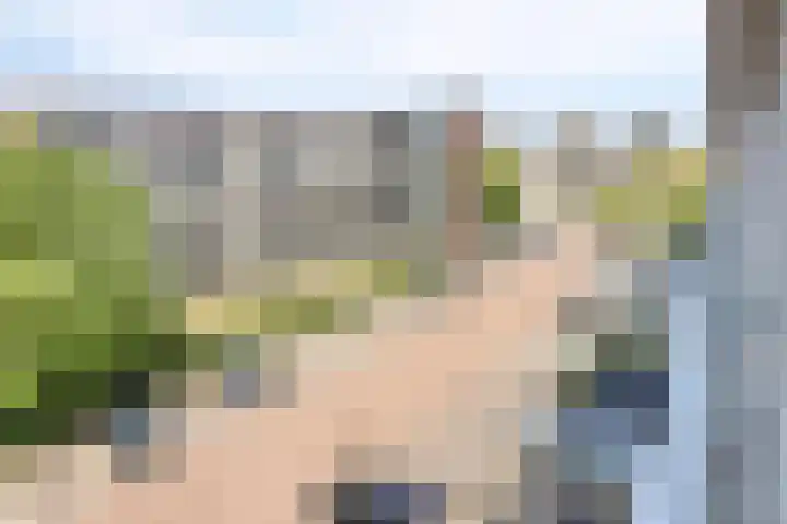 Kromakkerweg 91 Eindhoven thumbnail 19