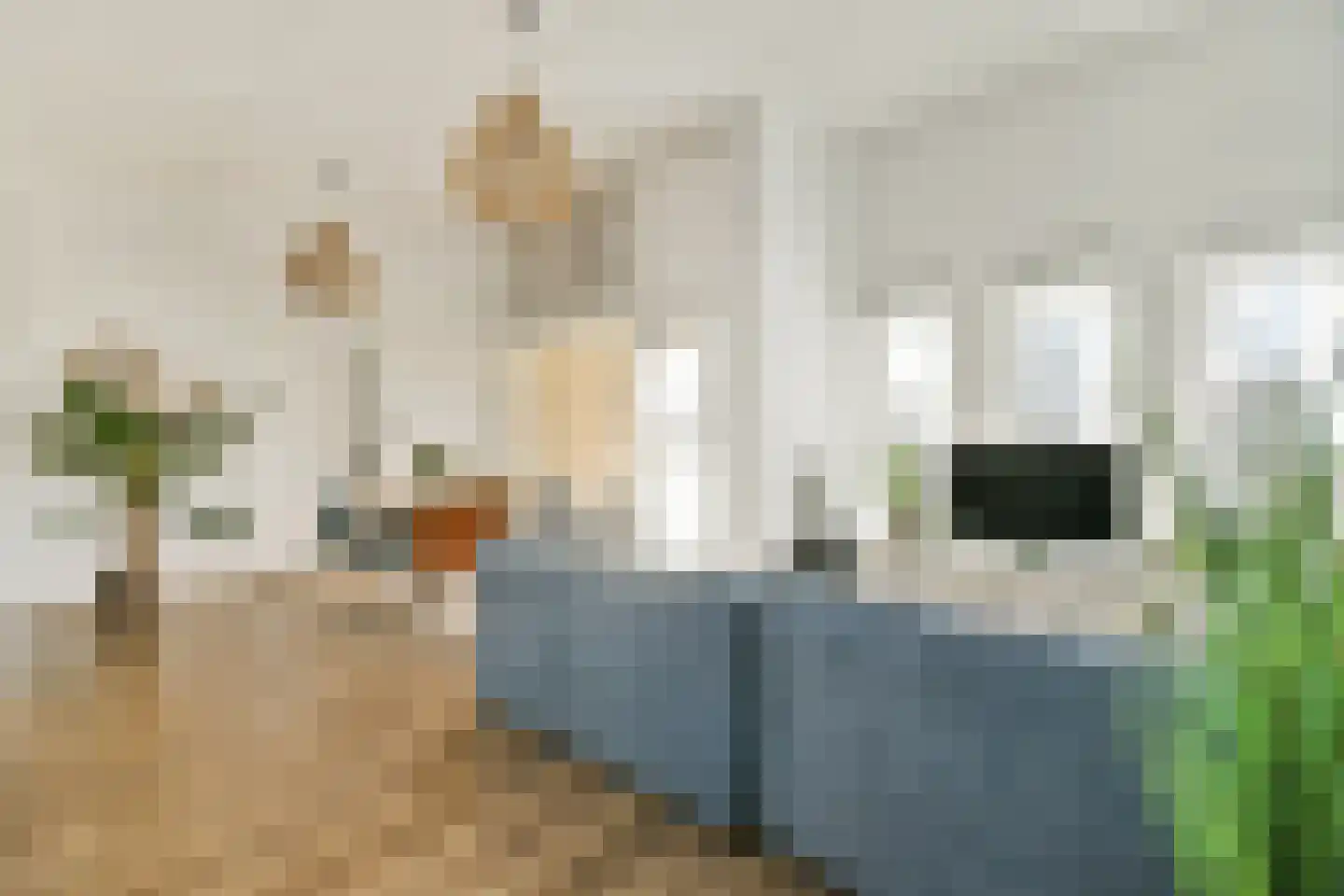 Kromboomsveld 29 Zandvoort thumbnail 11