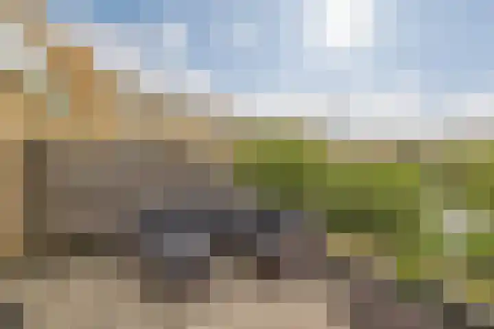Kromboomsveld 43 Zandvoort thumbnail 10