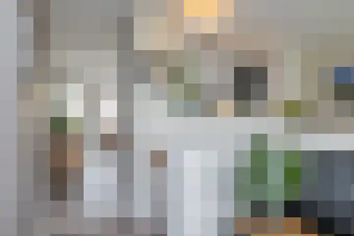 Kromboomsveld 43 Zandvoort thumbnail 17