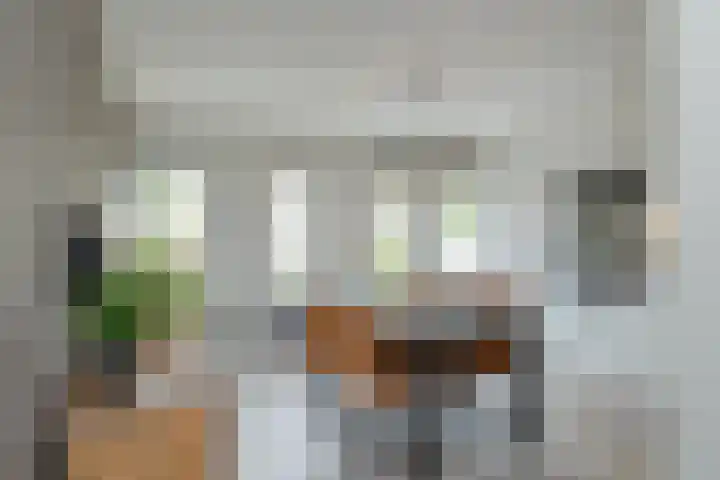 Kromboomsveld 43 Zandvoort thumbnail 18