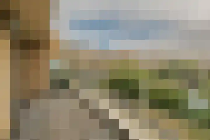 Kromboomsveld 43 Zandvoort thumbnail 26