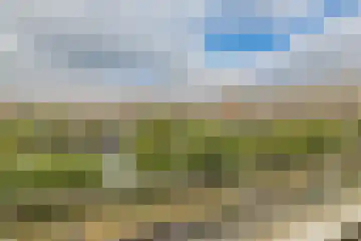 Kromboomsveld 43 Zandvoort thumbnail 27