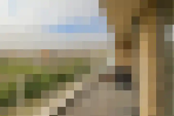 Kromboomsveld 43 Zandvoort thumbnail 28
