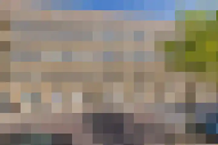 Kromboomsveld 43 Zandvoort thumbnail 31