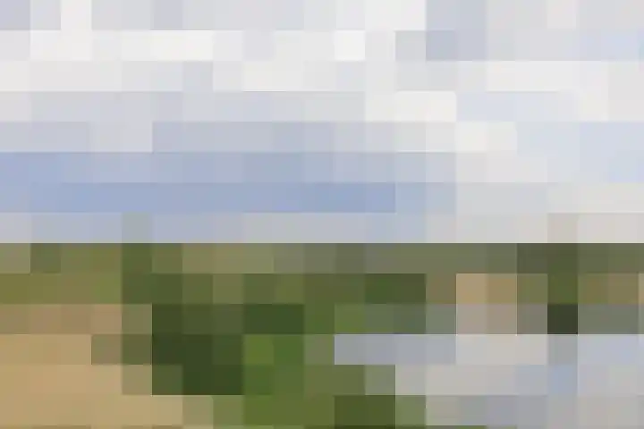 Kromboomsveld 43 Zandvoort thumbnail 32