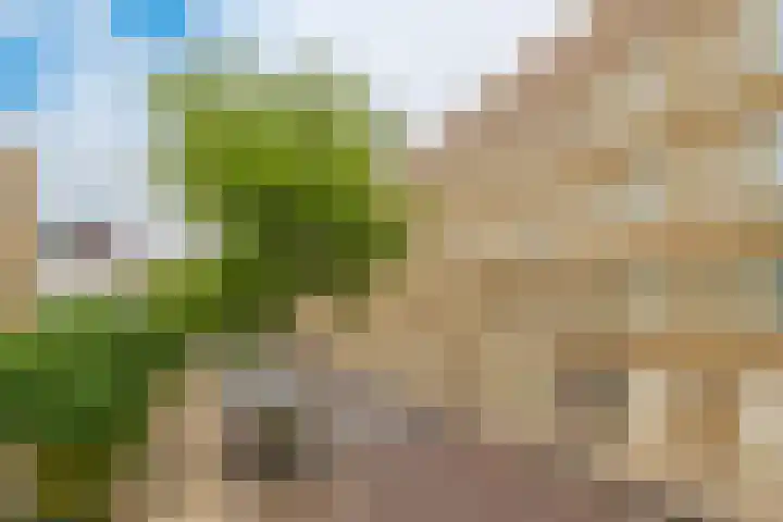 Kromboomsveld 43 Zandvoort thumbnail 38