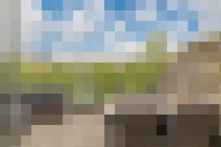 Kromboomsveld 43 Zandvoort thumbnail 9