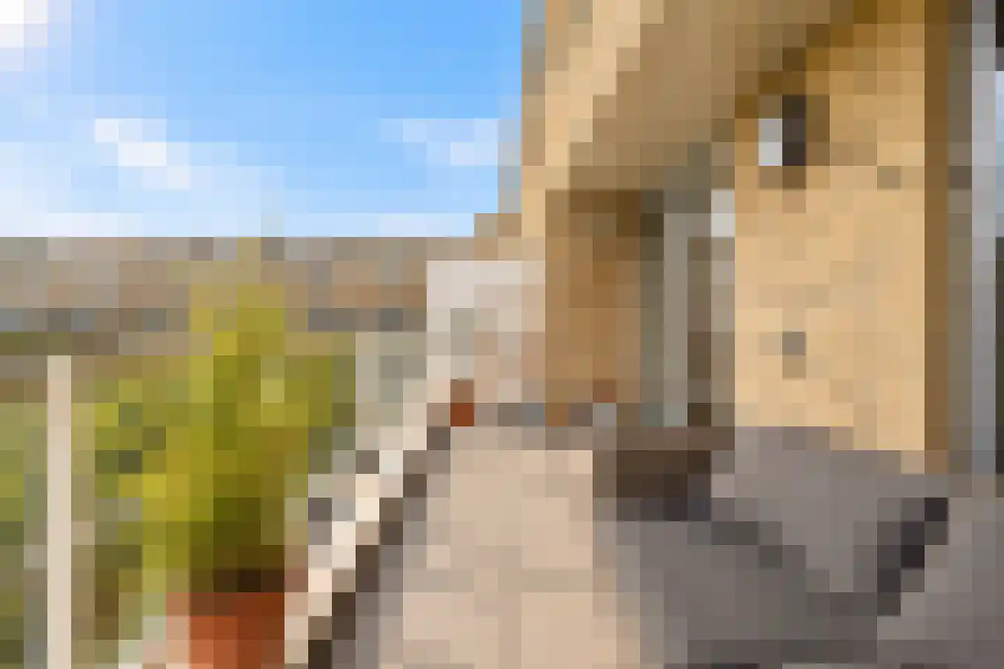 Kromboomsveld 47 Zandvoort thumbnail 12