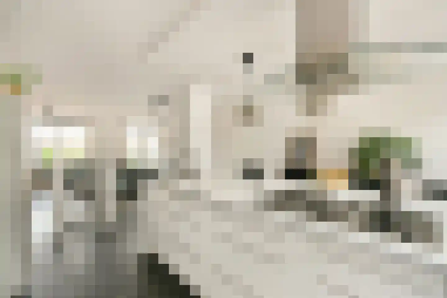 Kromboomsveld 47 Zandvoort thumbnail 15