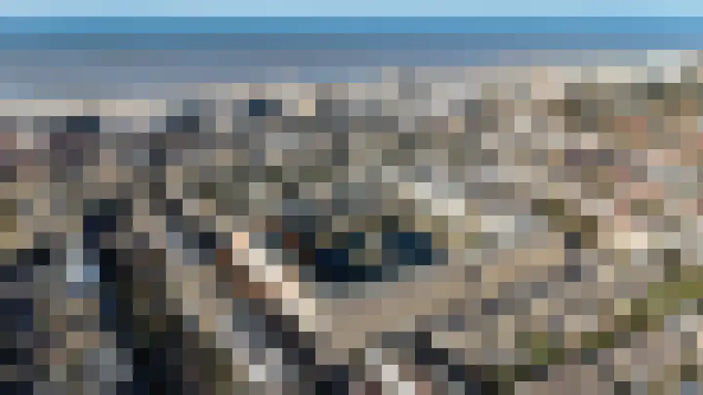 Kromboomsveld 47 Zandvoort thumbnail 28