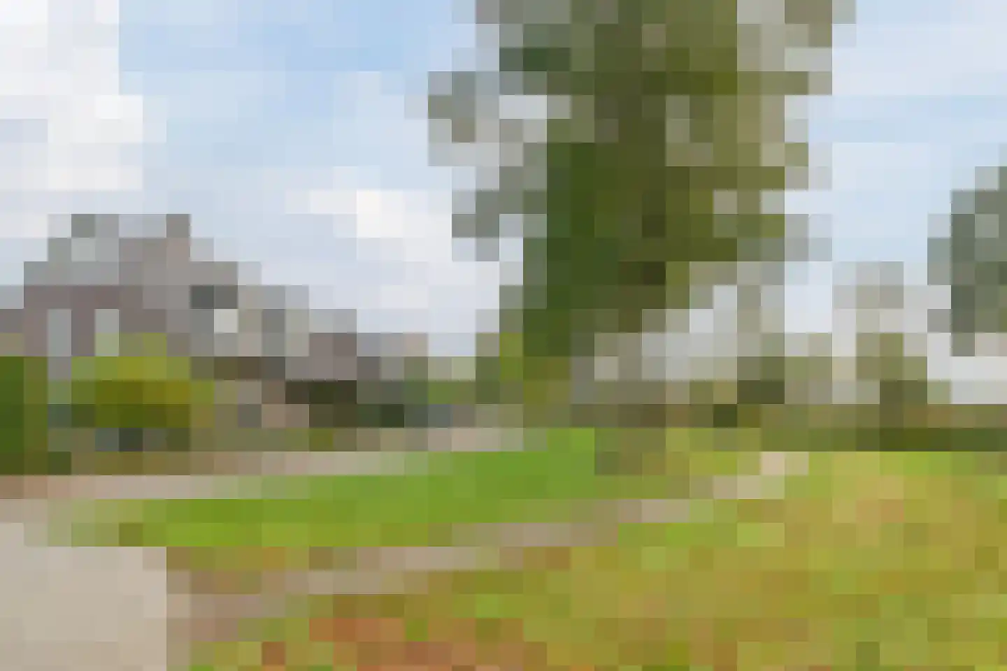 Krombos 51 Uden thumbnail 100