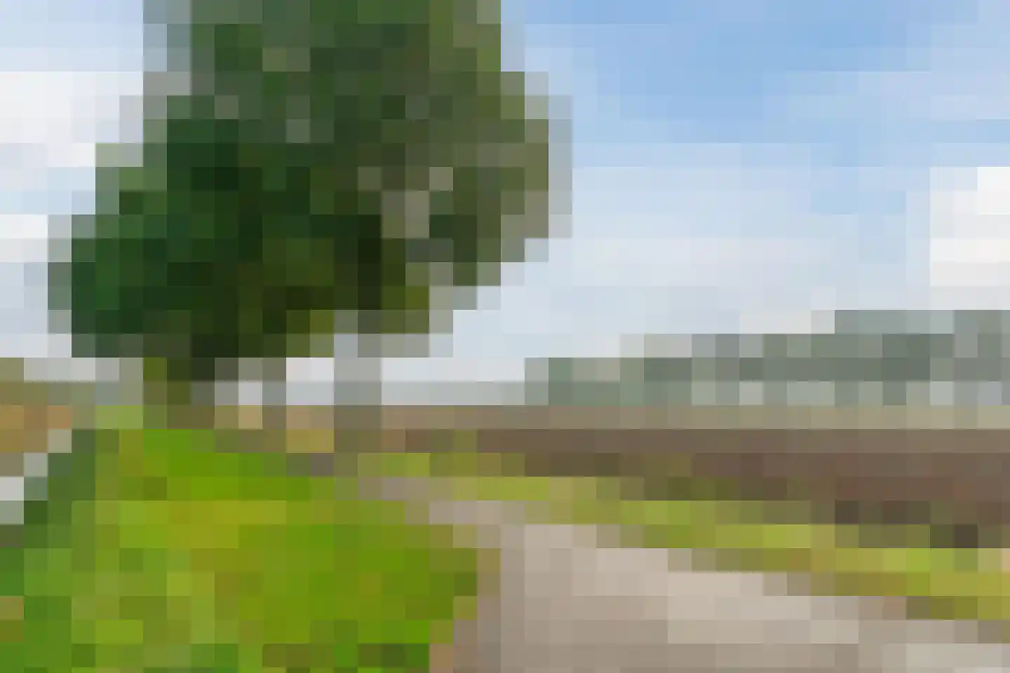 Krombos 51 Uden thumbnail 101