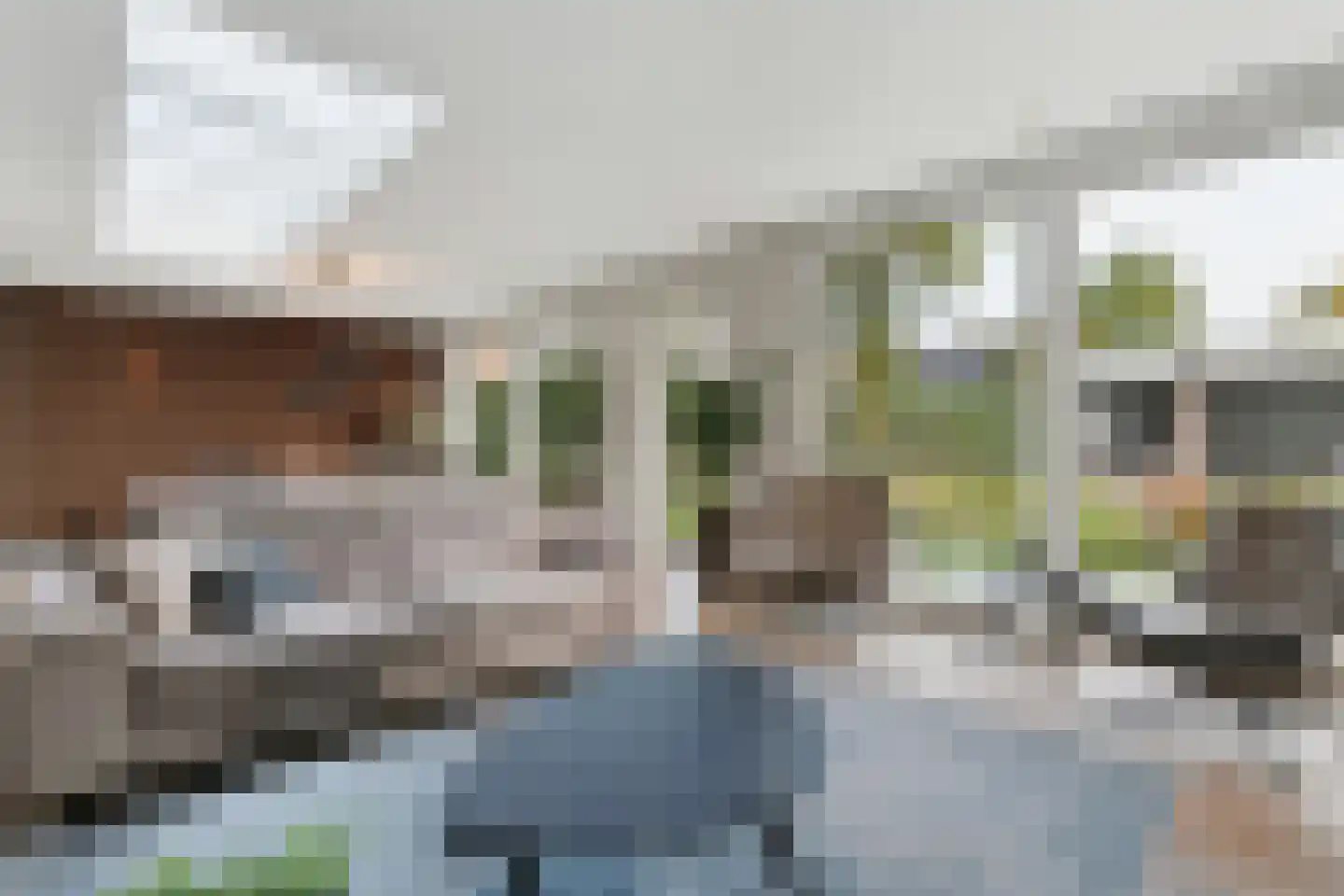 Krombos 51 Uden thumbnail 36