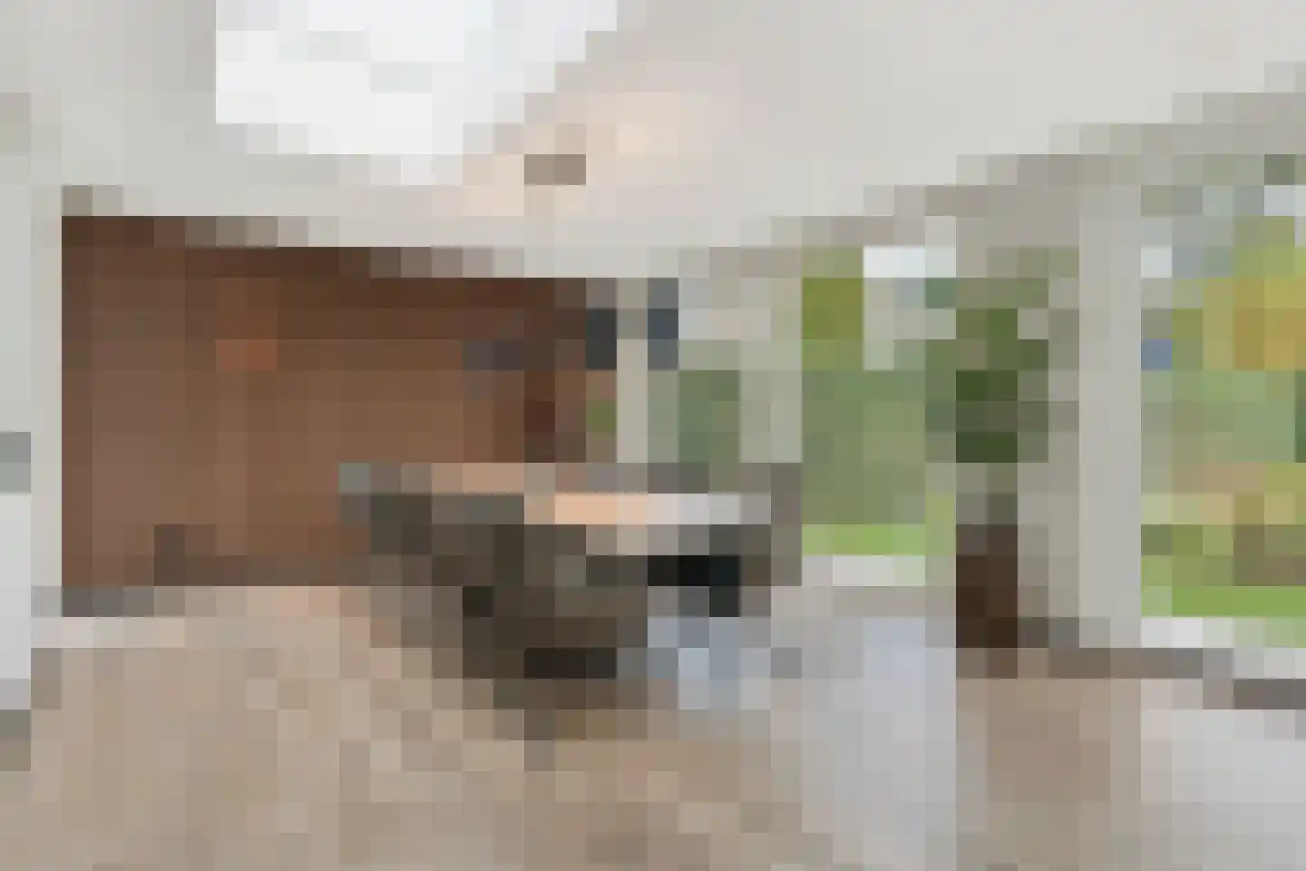 Krombos 51 Uden thumbnail 42