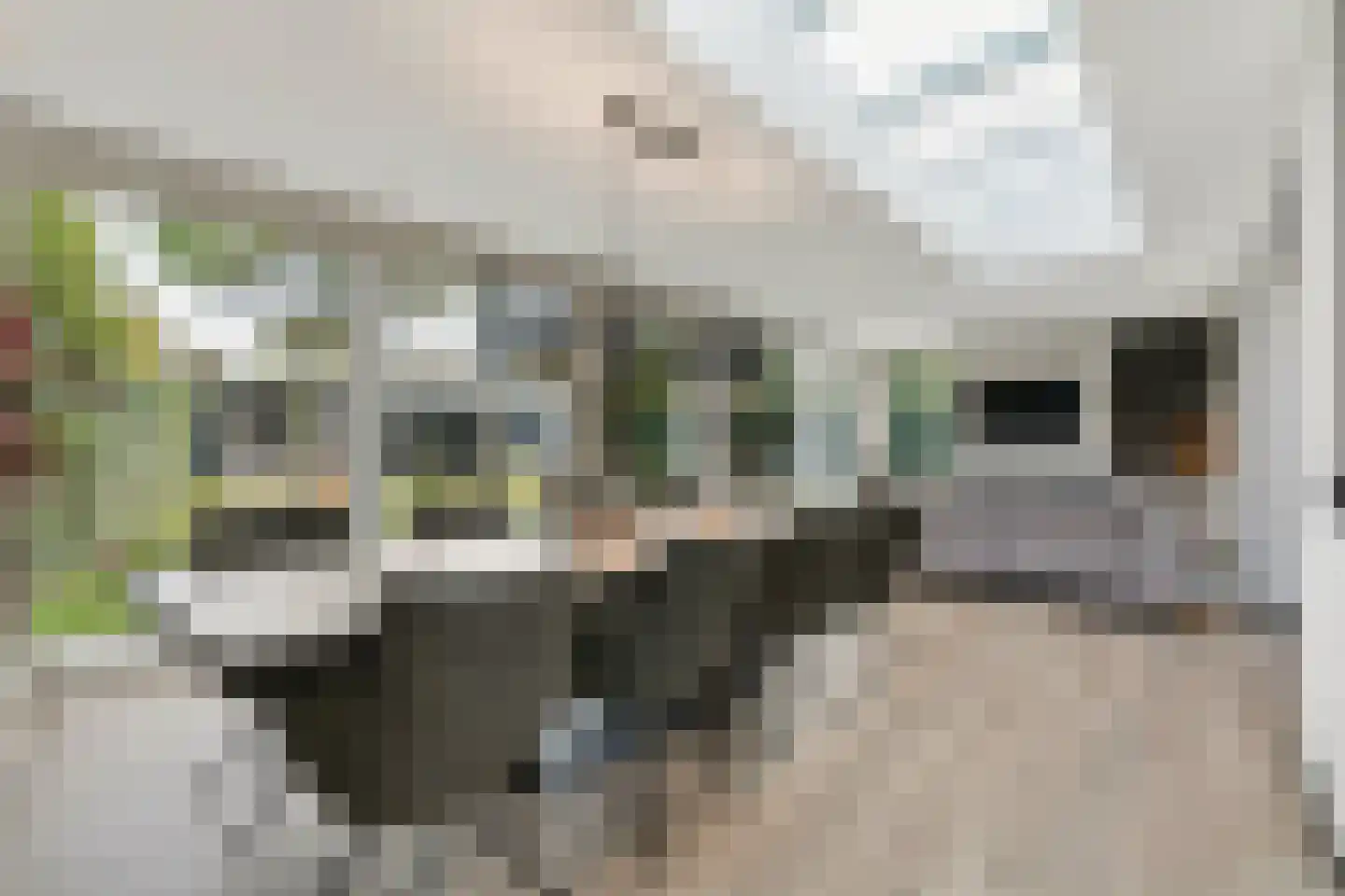 Krombos 51 Uden thumbnail 44