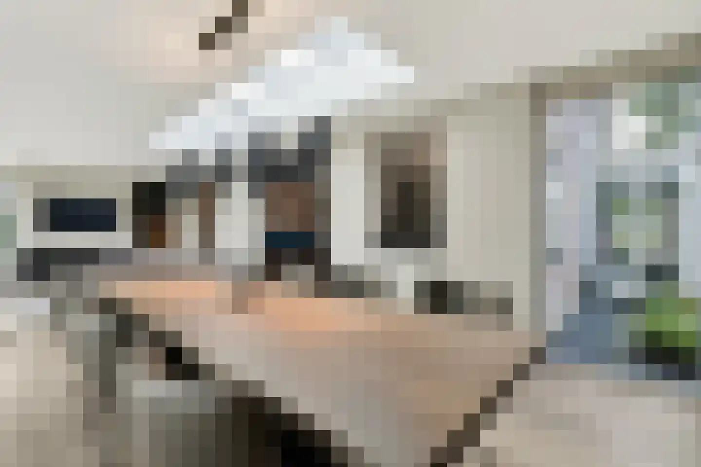 Krombos 51 Uden thumbnail 46