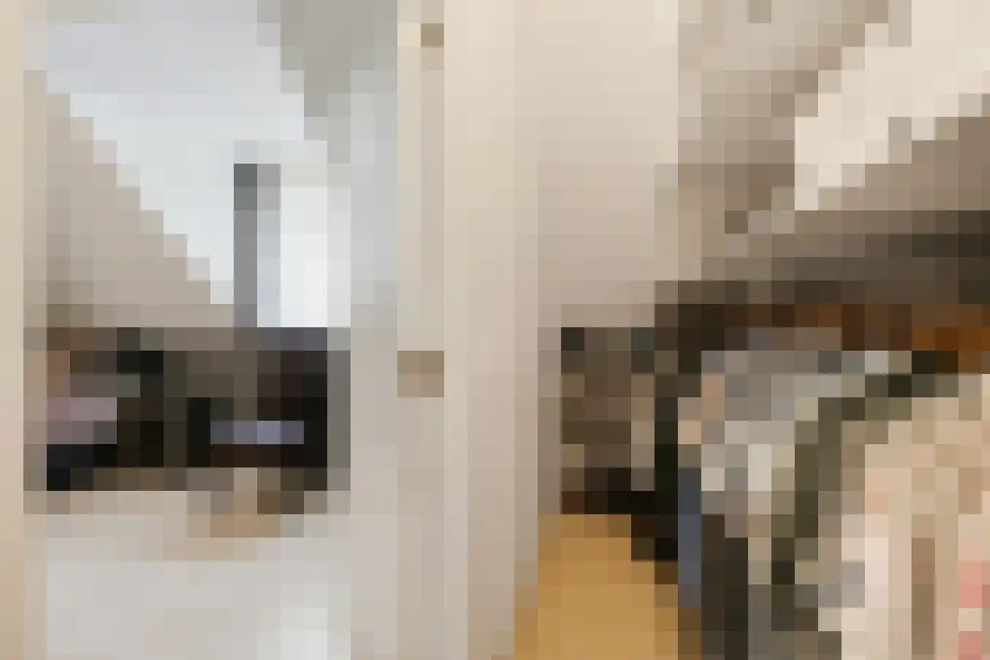 Krombos 51 Uden thumbnail 62