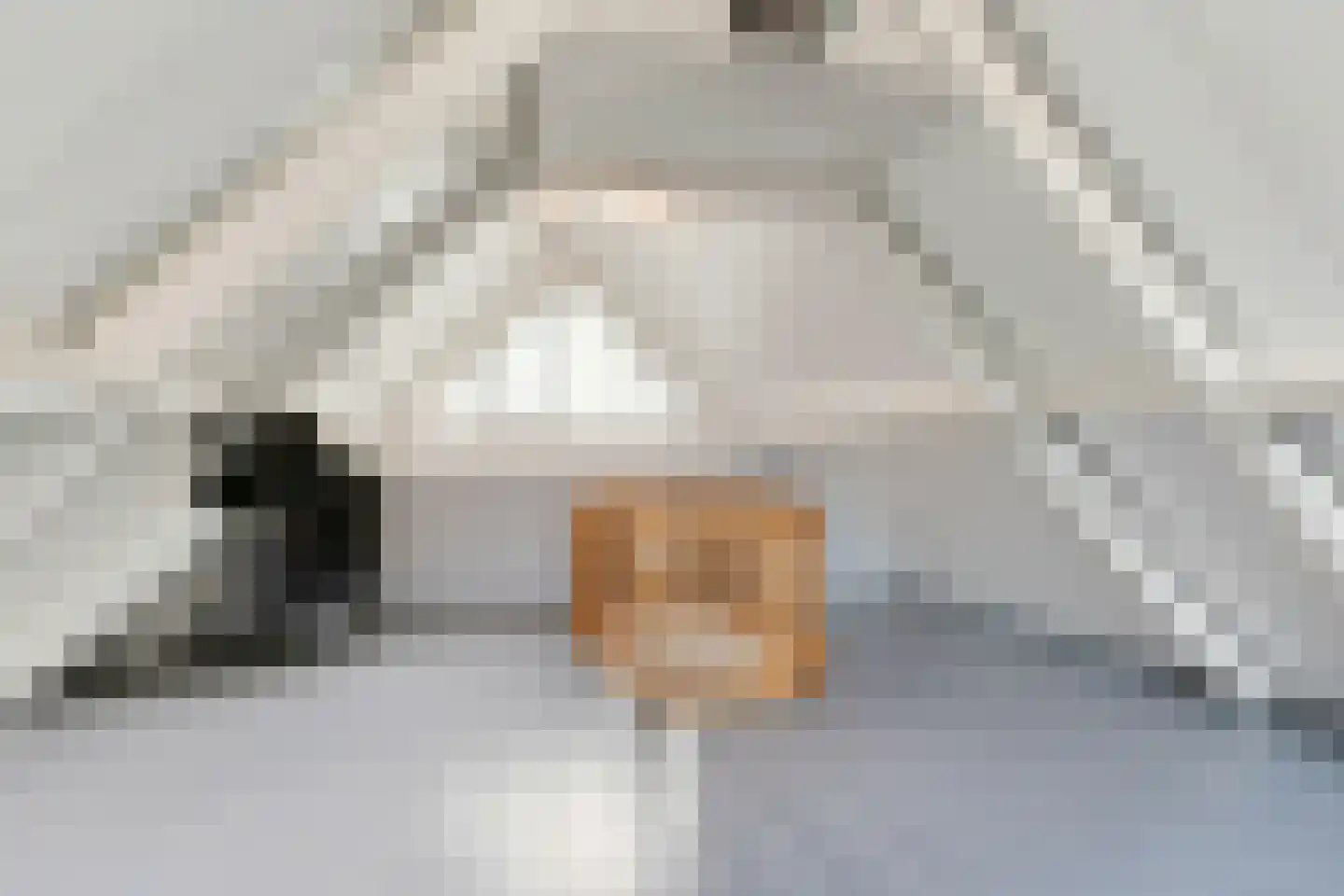 Krombos 51 Uden thumbnail 77