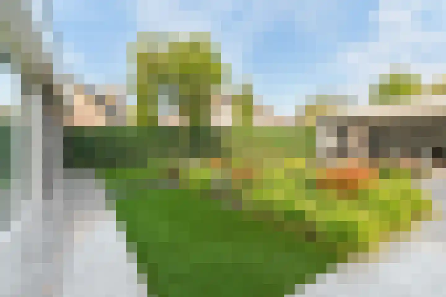 Krombos 51 Uden thumbnail 79