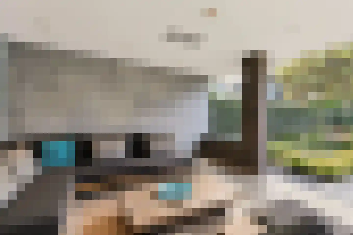 Krombos 51 Uden thumbnail 93