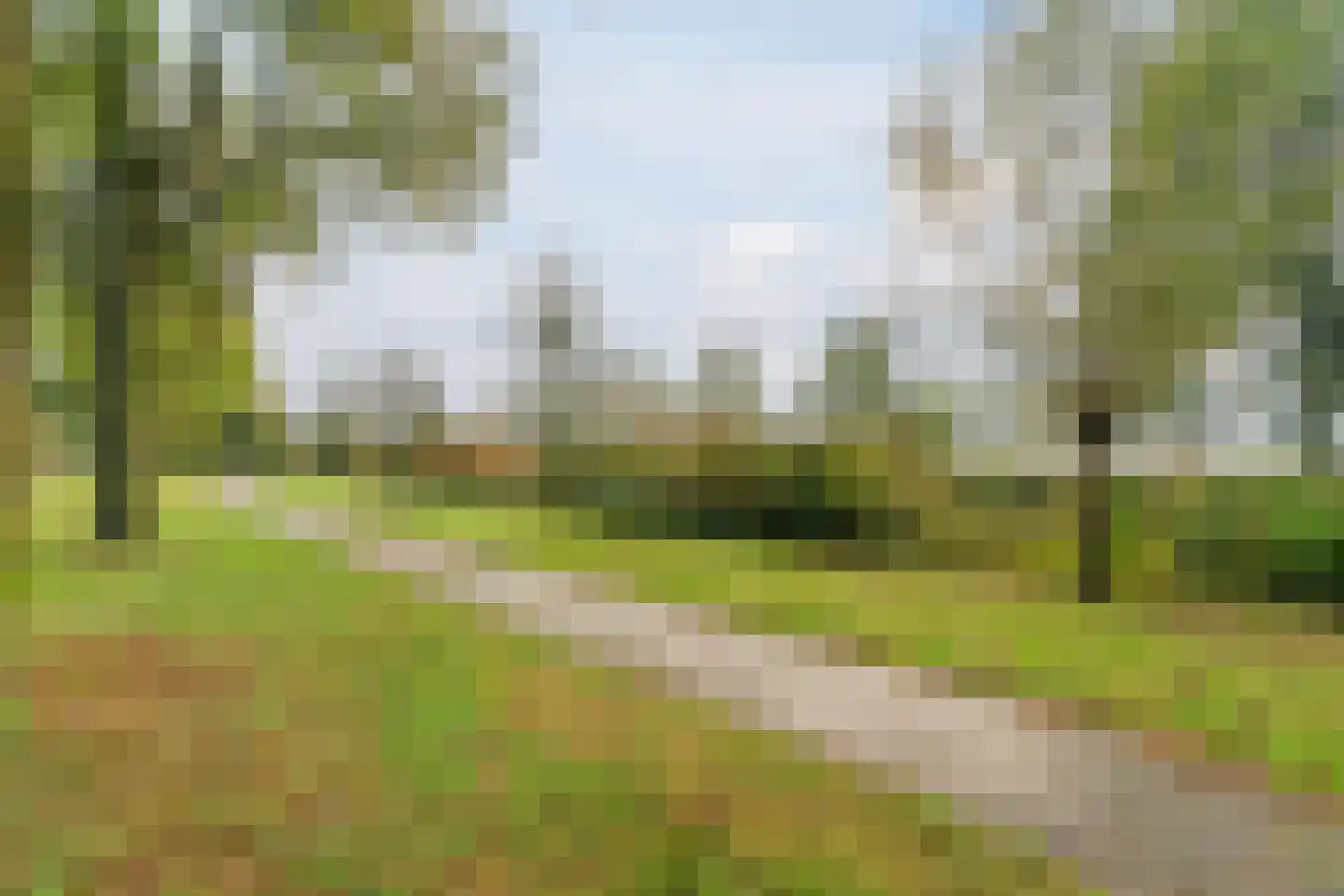 Krombos 51 Uden thumbnail 96
