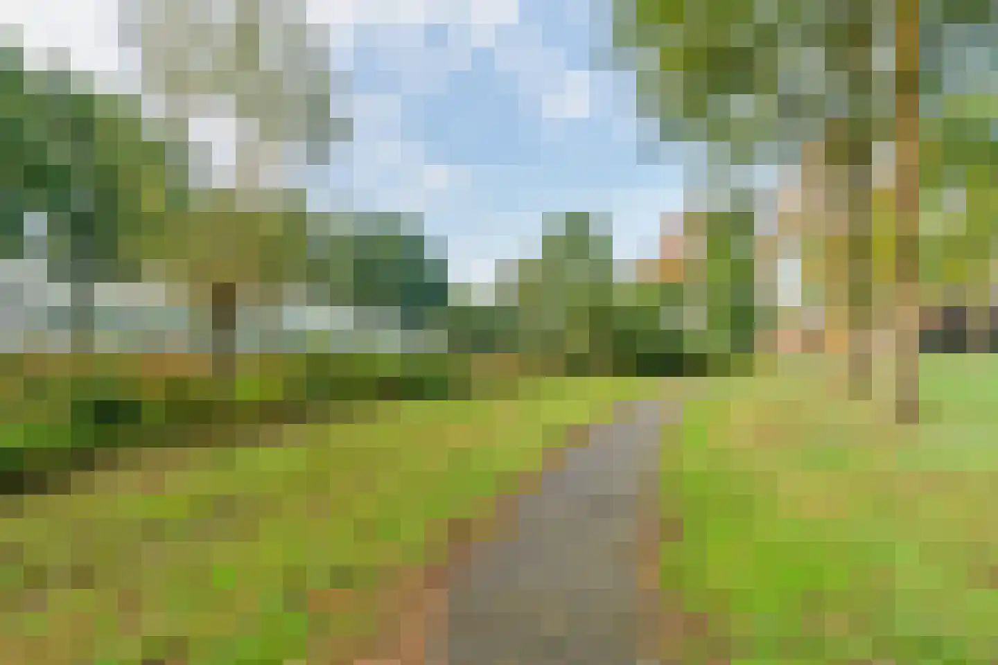 Krombos 51 Uden thumbnail 97