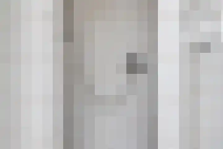 Kromdel 18 Koedijk thumbnail 21