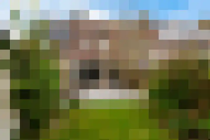Kromdel 18 Koedijk thumbnail 29