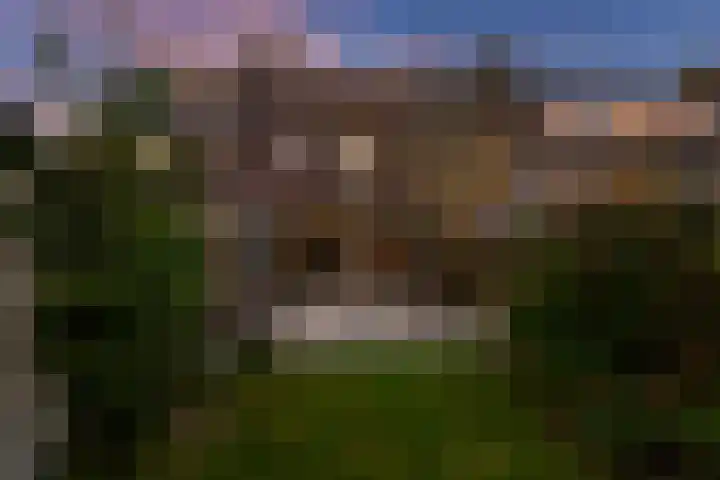 Kromdel 18 Koedijk thumbnail 30