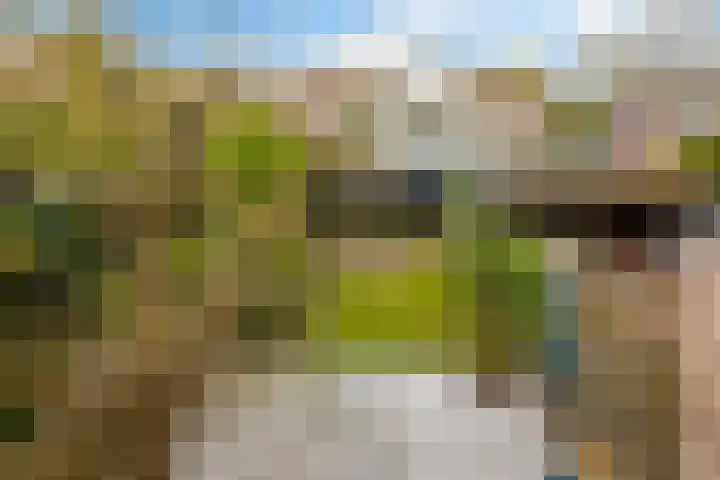 Kromdel 18 Koedijk thumbnail 34