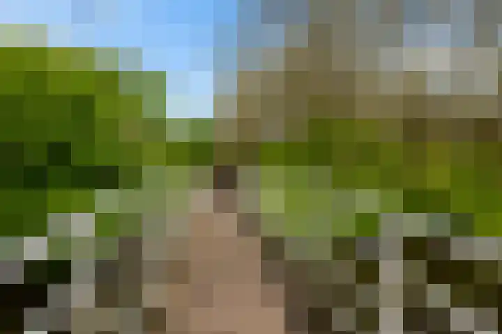 Kromdel 18 Koedijk thumbnail 37