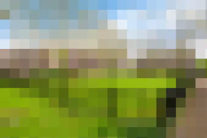 Kromdel 18 Koedijk thumbnail 38