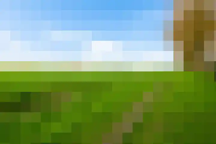 Kromdel 18 Koedijk thumbnail 39