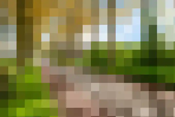 Kromdel 18 Koedijk thumbnail 40