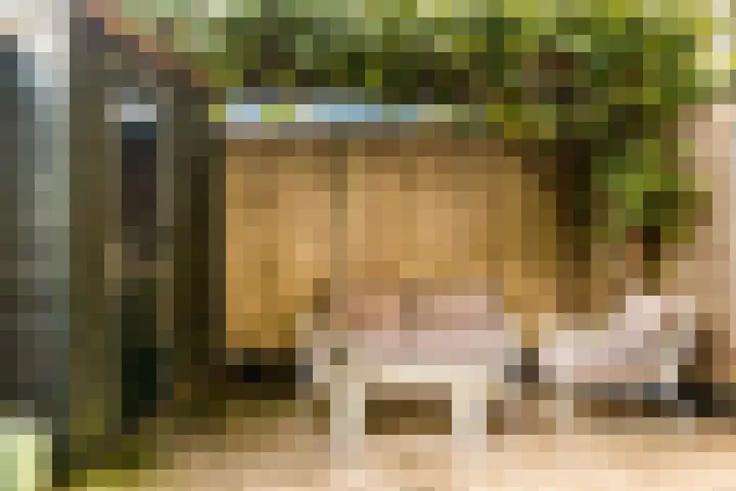 Kromdel 63 Koedijk thumbnail 36